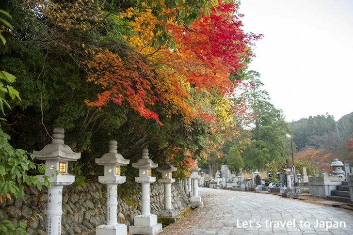 奥の院の紅葉：高野山の紅葉の見どころ完全ガイド(2)