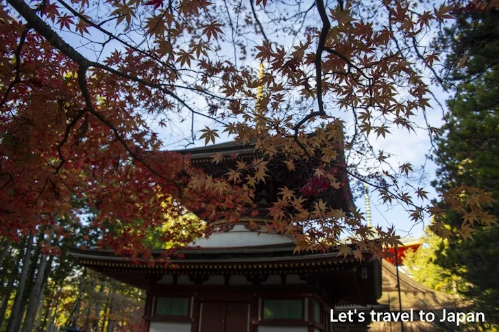 壇上伽藍の紅葉：高野山の紅葉の見どころ完全ガイド(21)