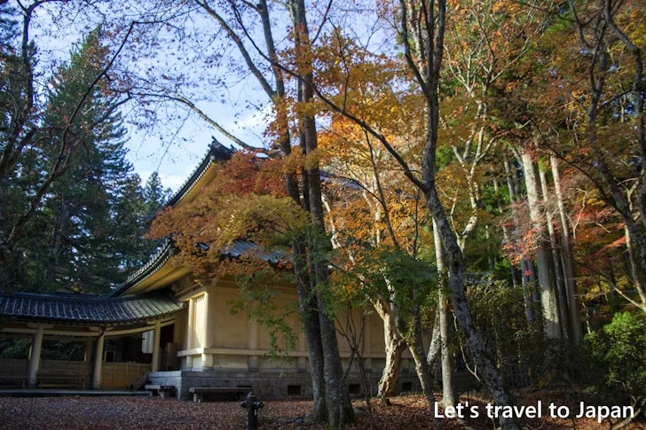 霊宝館の紅葉：高野山の紅葉の見どころ完全ガイド(25)