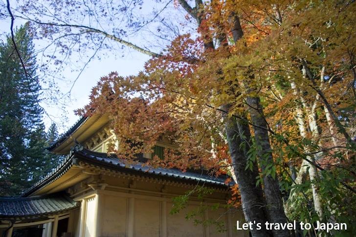 霊宝館の紅葉：高野山の紅葉の見どころ完全ガイド(26)