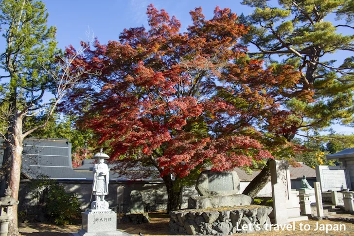 高野山のその他の紅葉：高野山の紅葉の見どころ完全ガイド(33)