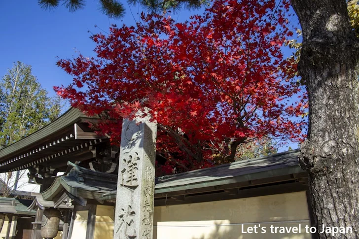 高野山のその他の紅葉：高野山の紅葉の見どころ完全ガイド(34)