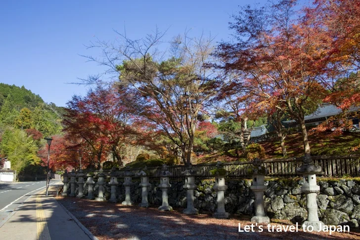 高野山のその他の紅葉：高野山の紅葉の見どころ完全ガイド(35)