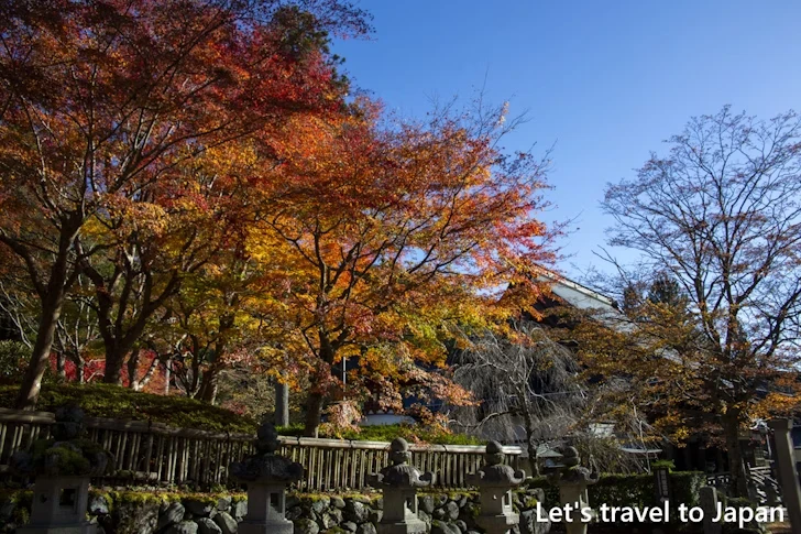 高野山のその他の紅葉：高野山の紅葉の見どころ完全ガイド(36)