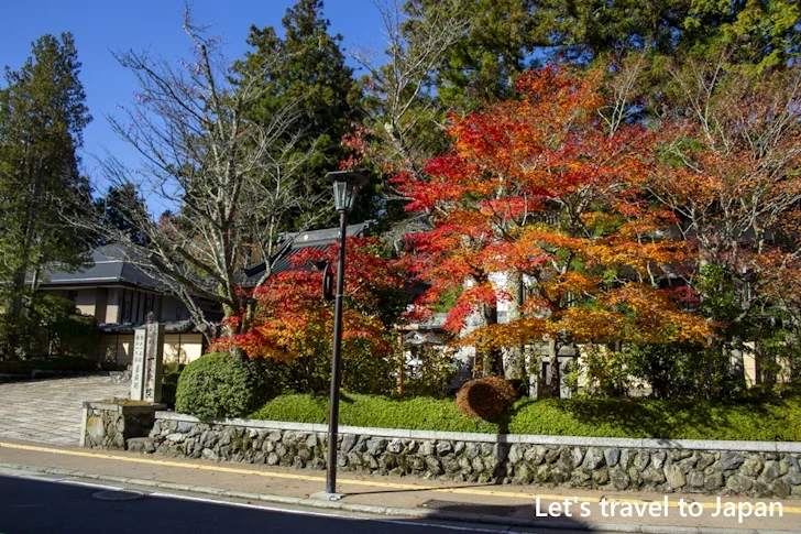 高野山のその他の紅葉：高野山の紅葉の見どころ完全ガイド(38)