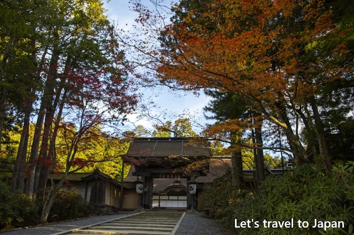 金剛峯寺の紅葉：高野山の紅葉の見どころ完全ガイド(8)