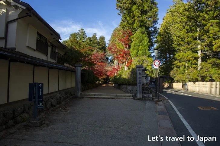 蛇腹路の紅葉：高野山の紅葉の見どころ完全ガイド(9)