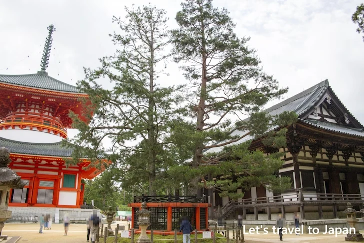 三鈷の松：高野山 壇上伽藍の見どころ(71)