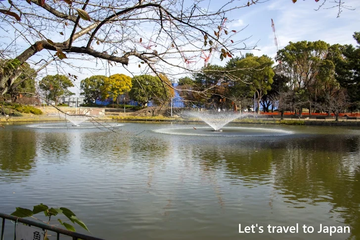 名城公園：名古屋城の見どころ(117)