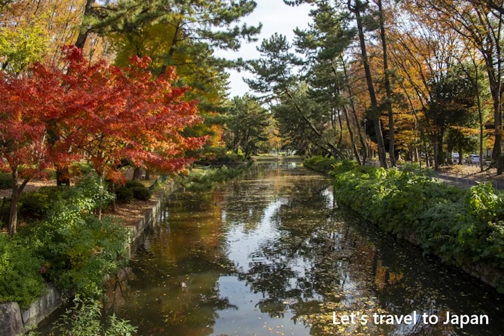 名城公園：名古屋城の見どころ(118)