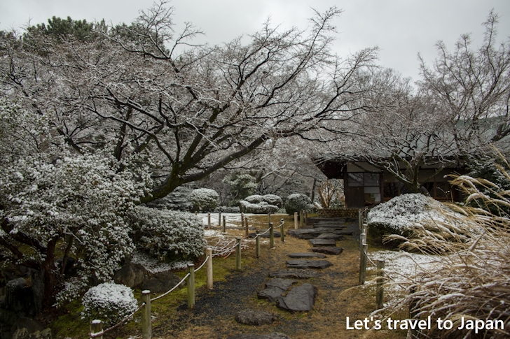 Snowy landscape of Nagoya Castle: Highlights of Nagoya Castle(176)