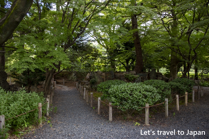 Maeniwa: Highlights of Nagoya Castle Ninomaru Garden(30)
