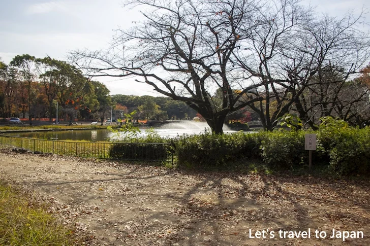 おふけ池：名城公園の見どころ(14)
