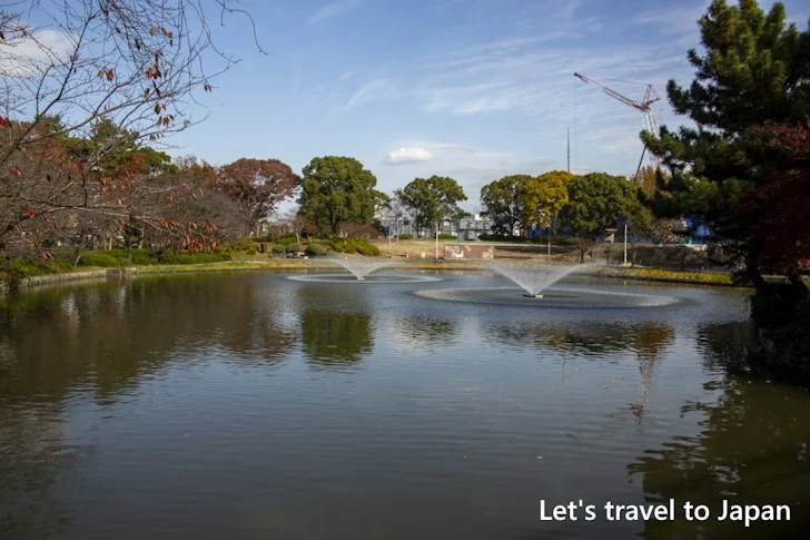 おふけ池：名城公園の見どころ(16)