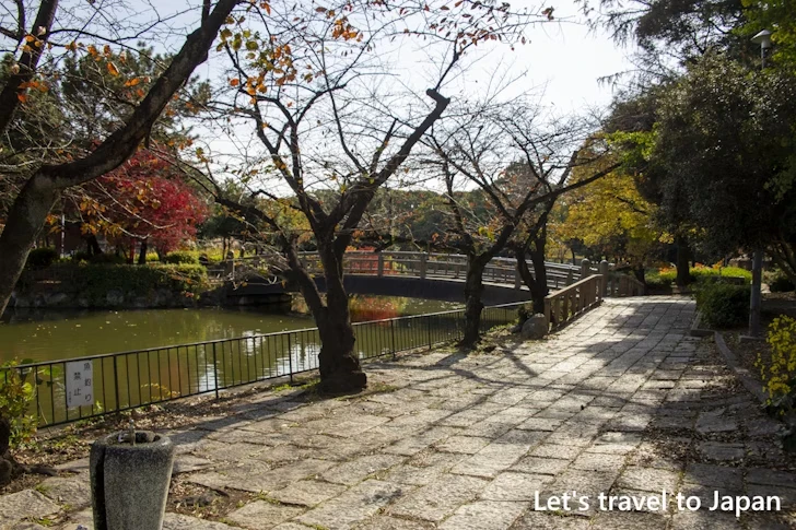 おふけ池：名城公園の見どころ(17)
