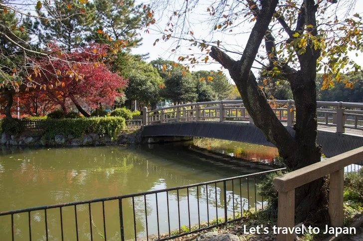 おふけ池：名城公園の見どころ(18)