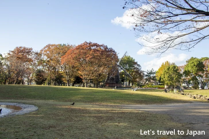 芝生広場：名城公園の見どころ(6)