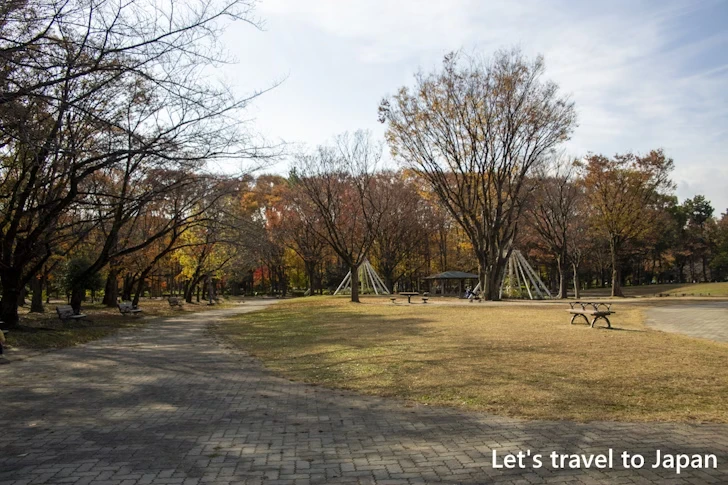 芝生広場：名城公園の見どころ(8)