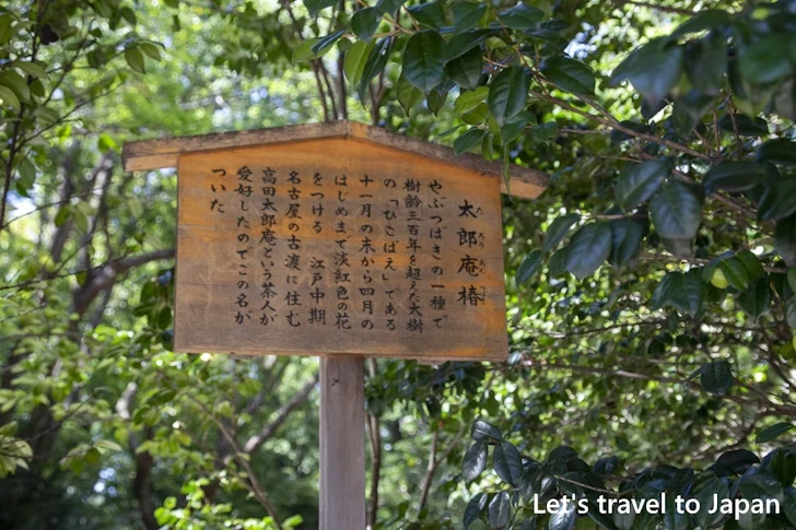 太郎庵椿：熱田神宮の見どころ(81)