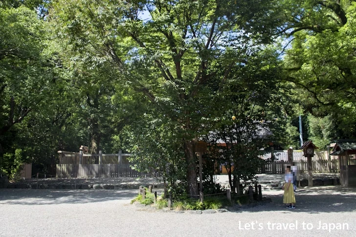 太郎庵椿：熱田神宮の見どころ(82)