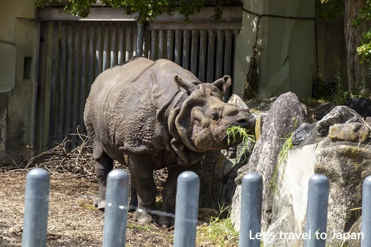 動物園本園：東山動植物園の見どころ(1)