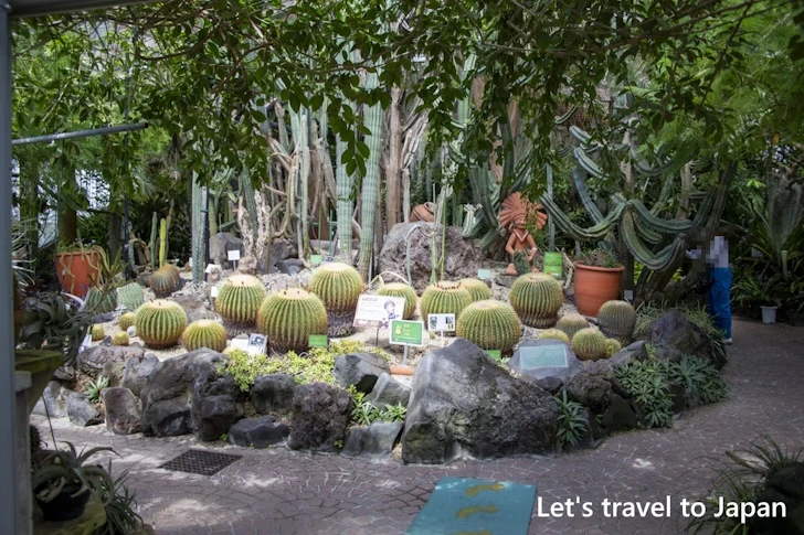 植物園：東山動植物園の見どころ(30)