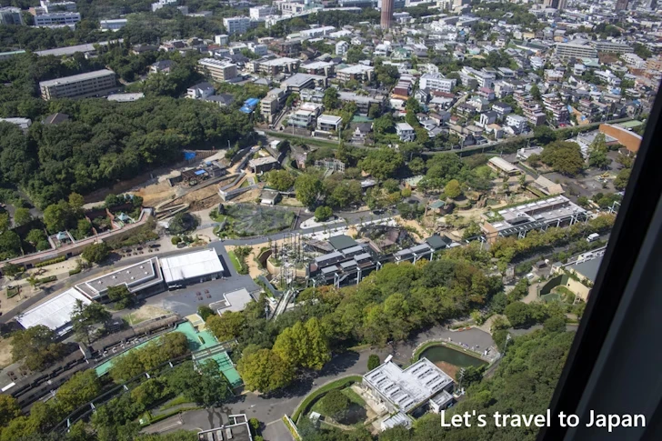 東山スカイタワー：東山動植物園の見どころ(43)