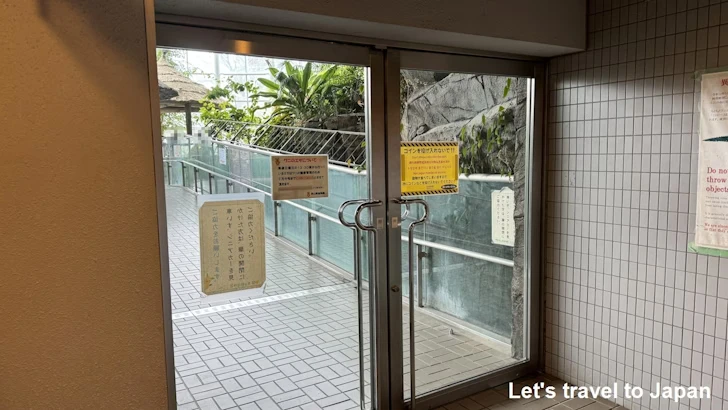 プロムナード：東山動植物園自然動物館(3)