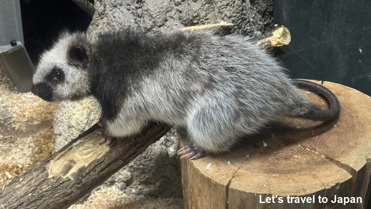 スターライトハウス：東山動植物園自然動物館(3)