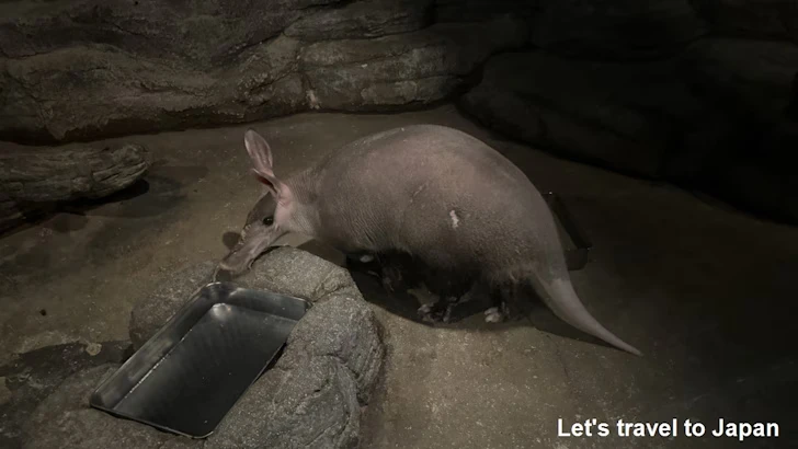 スターライトハウス：東山動植物園自然動物館(7)