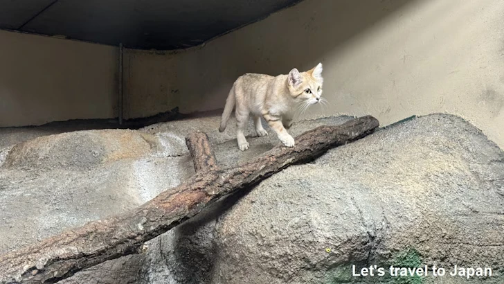 スターライトハウス：東山動植物園自然動物館(8)