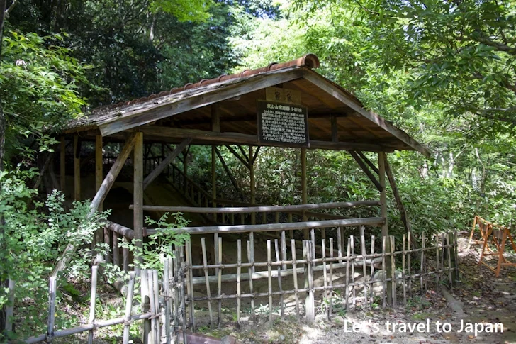 古窯跡：東山植物園の見どころ(104)