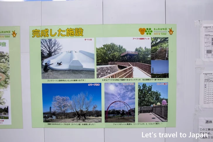 お花畑：東山植物園の見どころ(109)