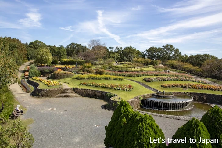 お花畑：東山植物園の見どころ(110)
