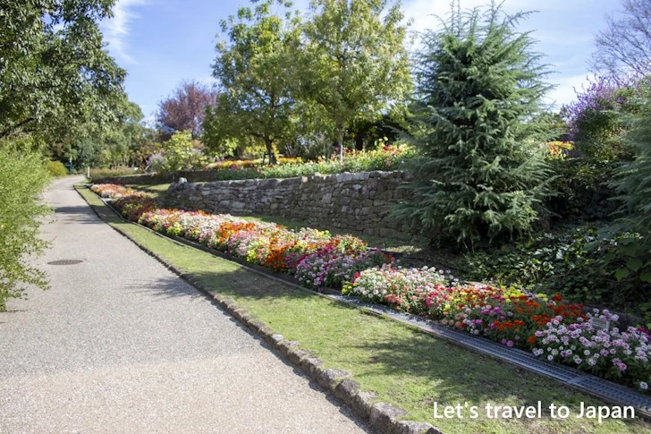 お花畑：東山植物園の見どころ(111)