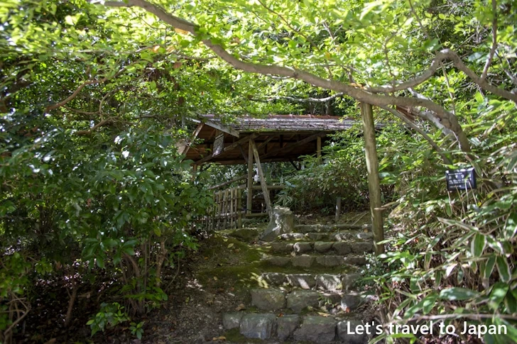 古窯跡：東山植物園の見どころ(277)