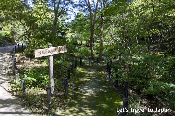 万葉の散歩道：東山植物園の見どころ(278)