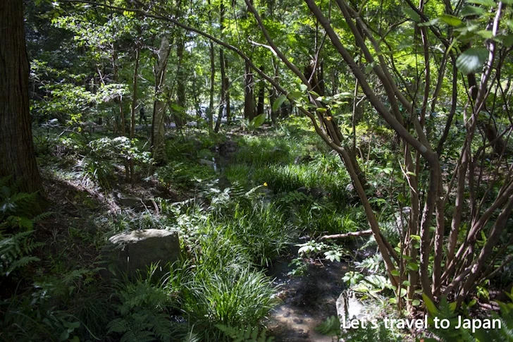 万葉の散歩道：東山植物園の見どころ(280)