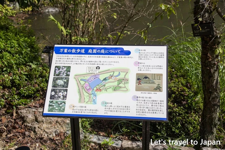 万葉の散歩道：東山植物園の見どころ(282)