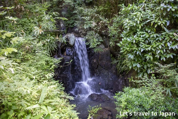 万葉の散歩道：東山植物園の見どころ(285)