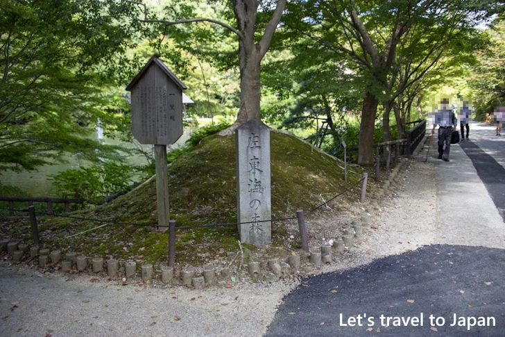 奥池：東山植物園の見どころ(78)