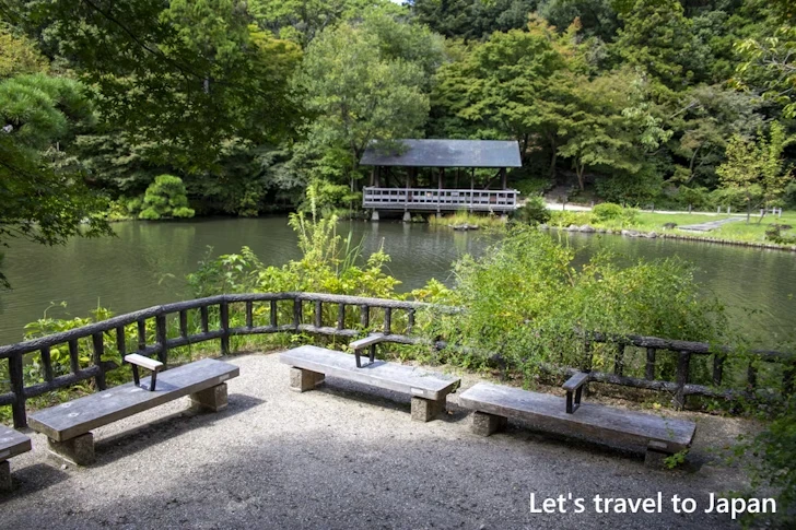 奥池：東山植物園の見どころ(81)