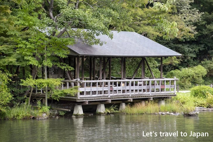 奥池：東山植物園の見どころ(82)