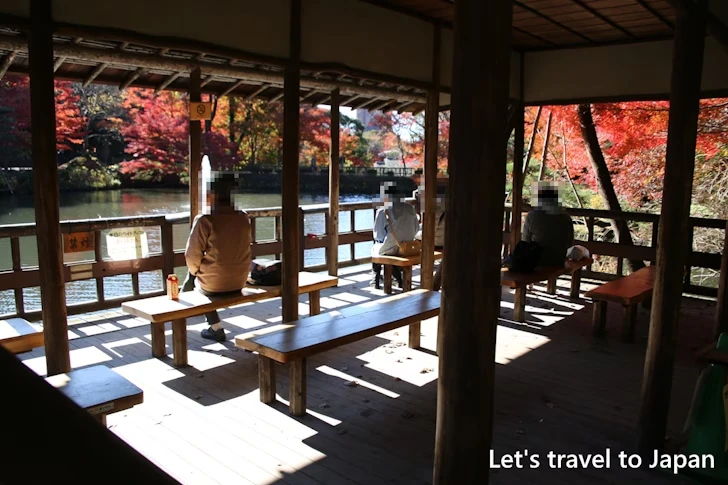 奥池：東山植物園の見どころ(86)