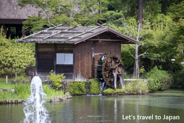 奥池：東山植物園の見どころ(87)