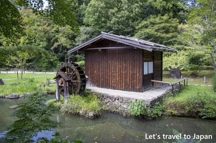 奥池：東山植物園の見どころ(88)