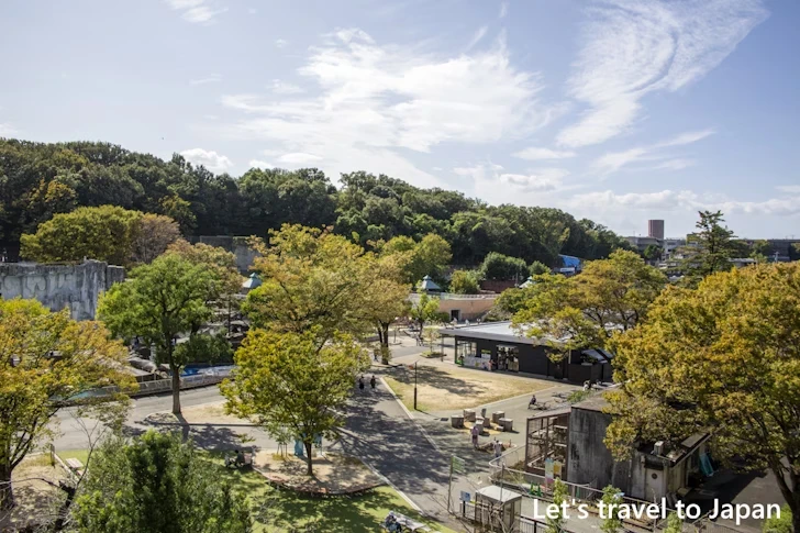 スカイビュートレイン：東山動物園本園の見どころ(10)