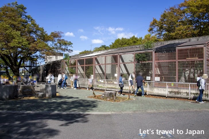 食肉小獣舎：東山動物園本園の見どころ(110)