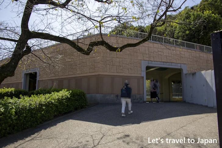 クマ：東山動物園本園の見どころ(142)