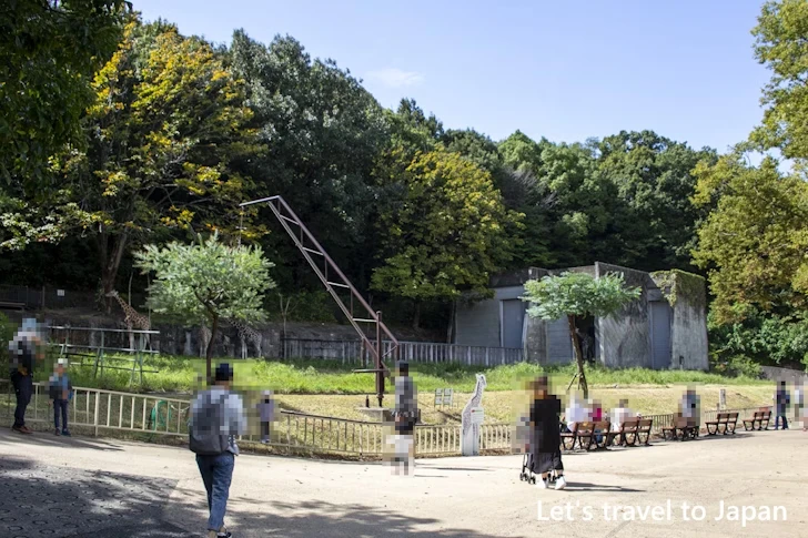 アミメキリン：東山動物園本園の見どころ(156)